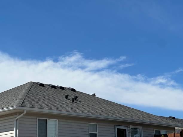 Best Rubber Roofing (EPDM, TPO)  in Dodson Branch, TN